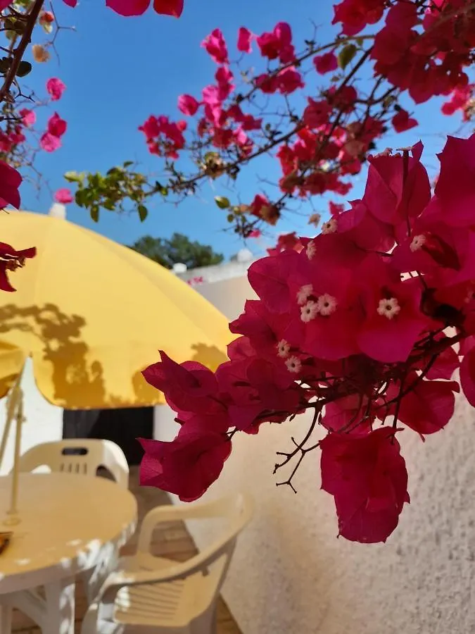 Vila Planalto - Golfe - Entre O Golfe E O Mar Vilamoura Holiday home